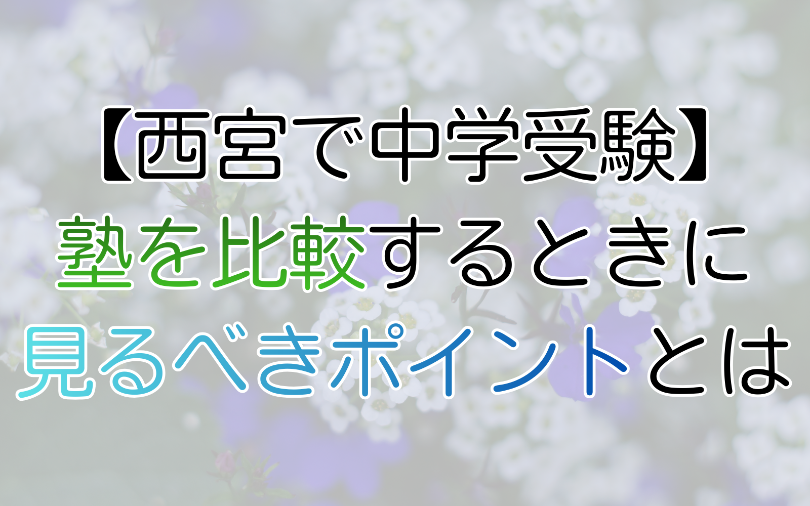 比較する時見るべきポイント